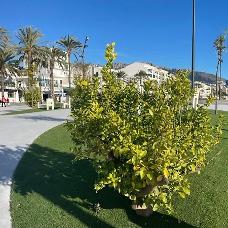 Apartament Group Experience Altea